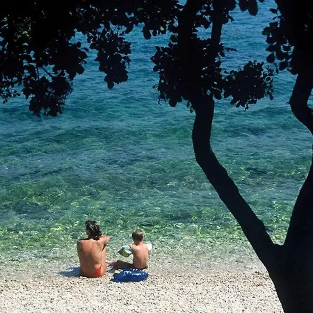 Marea With Pool 200m From The Beach * Porec